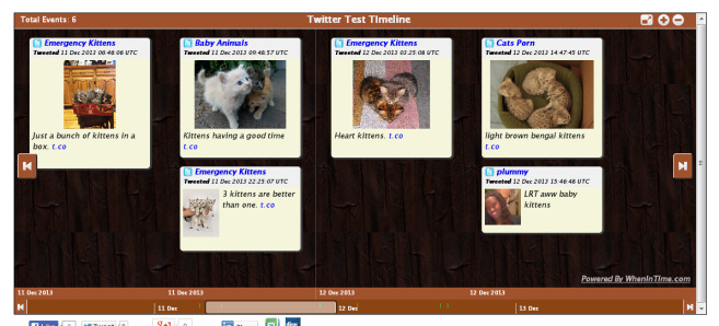 kitten_timeline